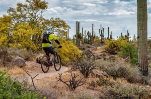 Oro Valley is designed to accommodate bicycling with wide, new roads, and interconnected bicycle routes. The "No Flat Capital" for bicycling. 