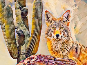 “Curious Coyote” by Theresa Poalucci