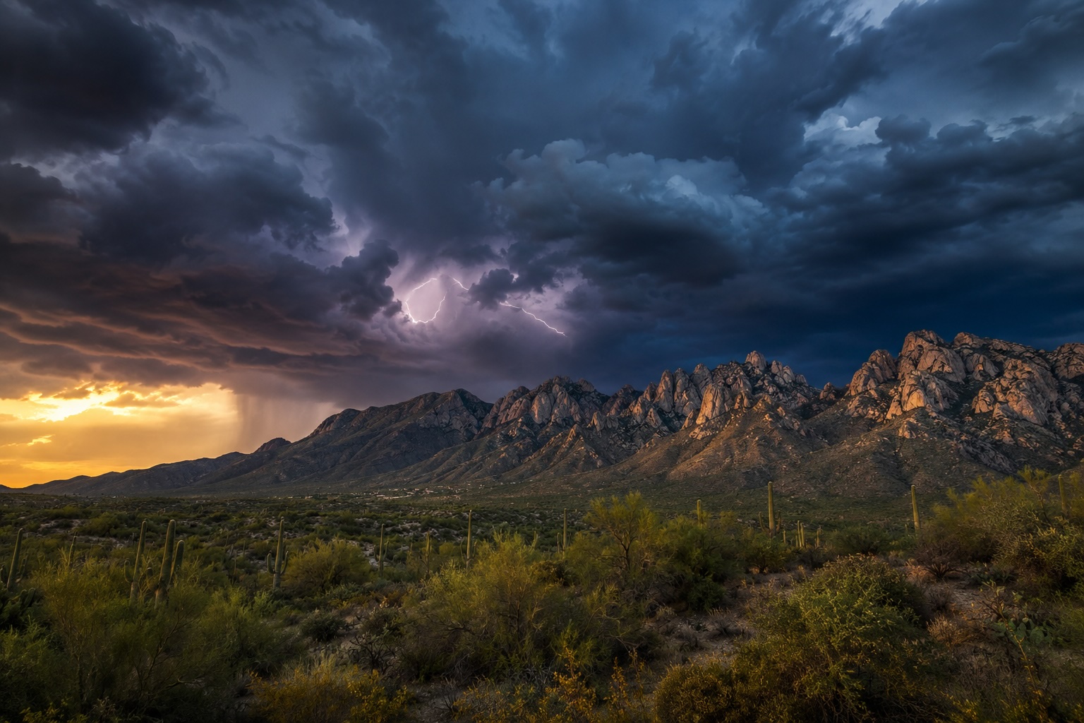 Arizona Monsoon
